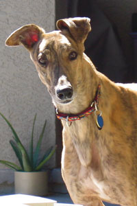 Kingman's smiling face